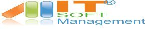 Management IT & Software MIT SOFT